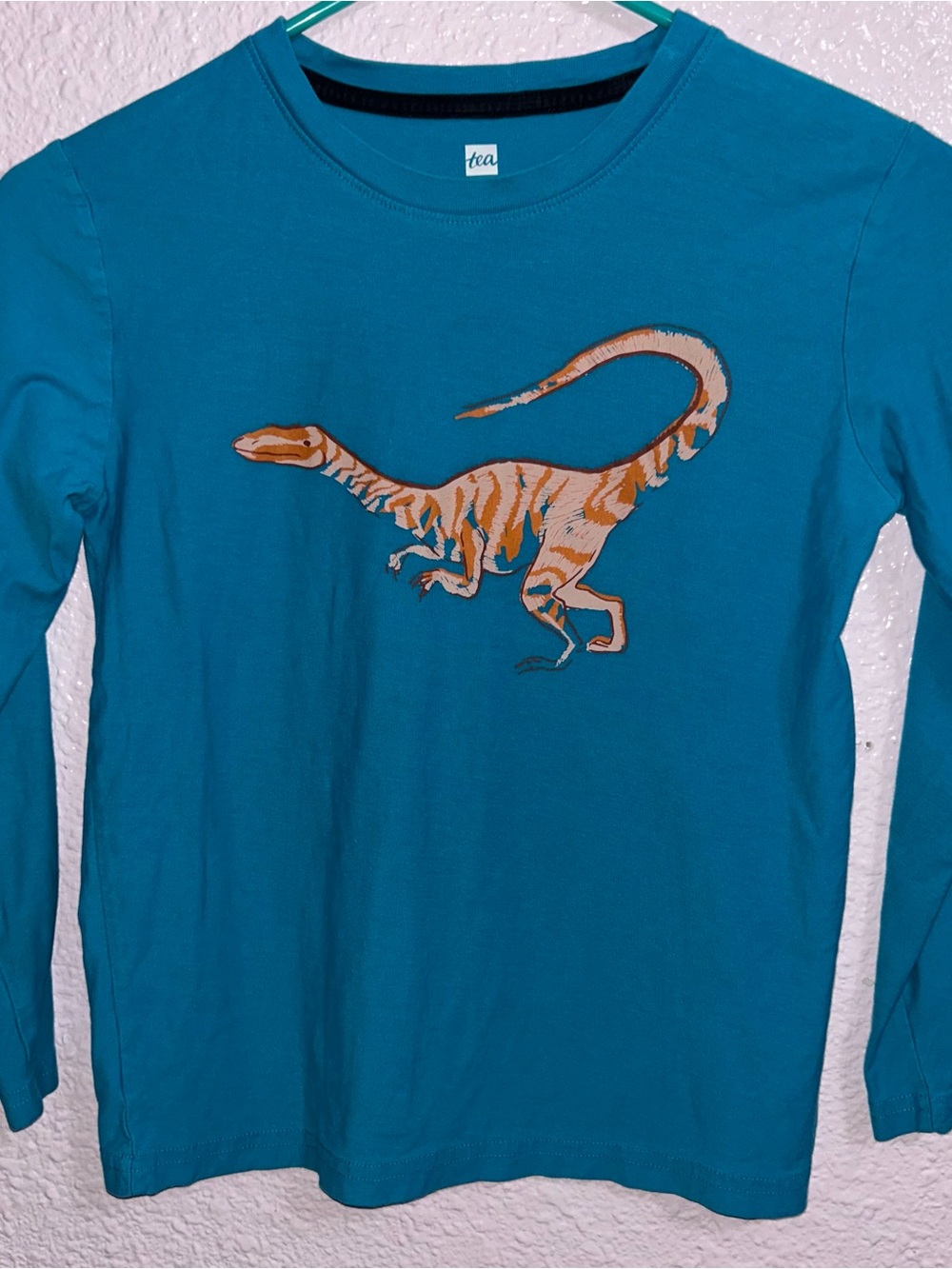 Tea Collection Teal Long Sleeve Tee with Orange Dinosaur Graphic